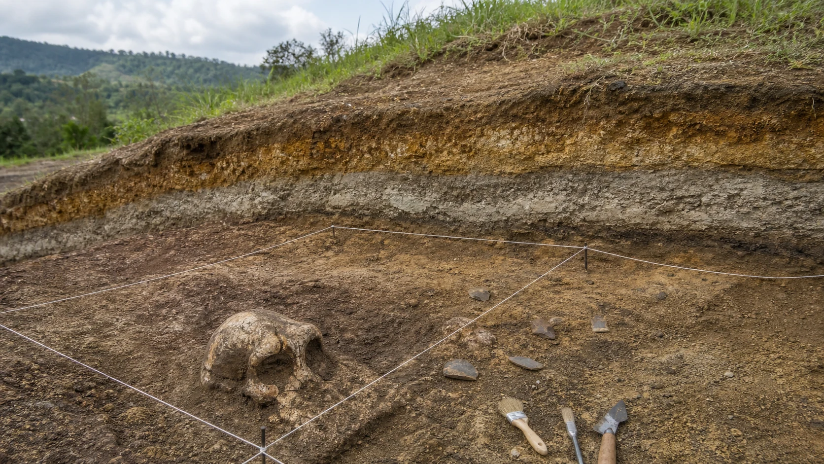 サンギランの堆積層に設けられた発掘区画と地中に残る初期人類の頭骨化石