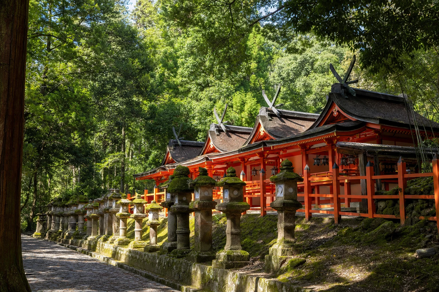 春日山原始林に囲まれた春日大社の朱塗り社殿
